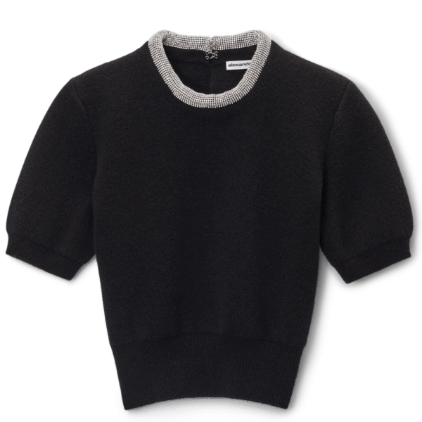 Alexander Wang Short Sleeves Crystal Tubular Necklace T-Shirt Black