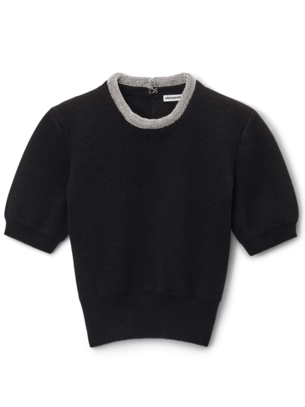 Alexander Wang Short Sleeves Crystal Tubular Necklace T-Shirt Black