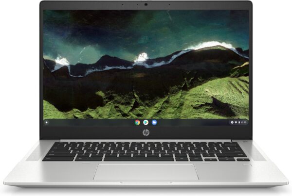 HP Pro c640 G2 Intel® Pentium® Gold 7505 Chromebook 35.6 cm (14") Full HD 8 GB DDR4-SDRAM 64 GB eMMC Wi-Fi 6 (802.11ax) ChromeOS Silver